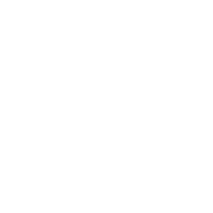 Prestation VDI - Voix Données Images